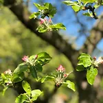 Kemping Sfeervolle Blokhut
