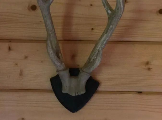 Kemping Sfeervolle Blokhut